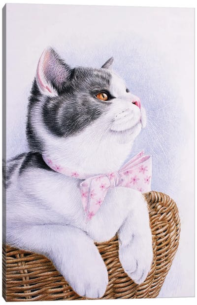 Cat With A Bow Canvas Art Print - Tatjana Bril