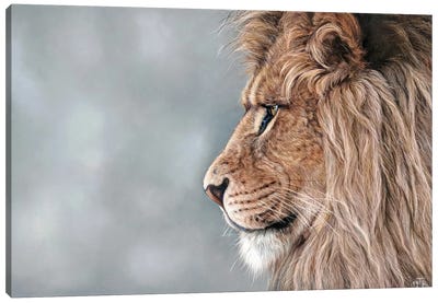 Lion King Canvas Art Print - Tatjana Bril