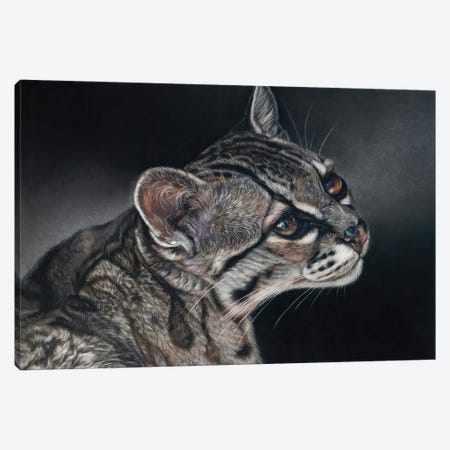 Ocelot Wild Cat Canvas Print #TJB28} by Tatjana Bril Canvas Art Print