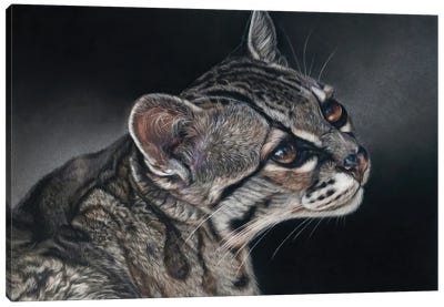 Ocelot Wild Cat Canvas Art Print - Tatjana Bril