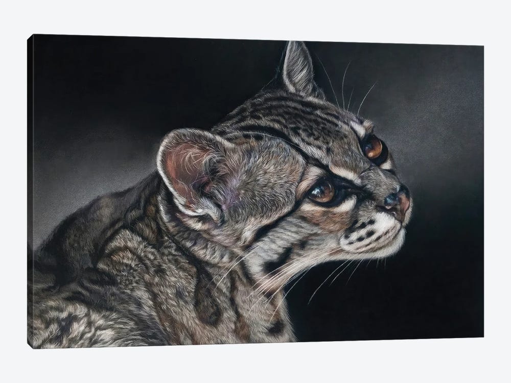 Ocelot Wild Cat by Tatjana Bril 1-piece Canvas Art