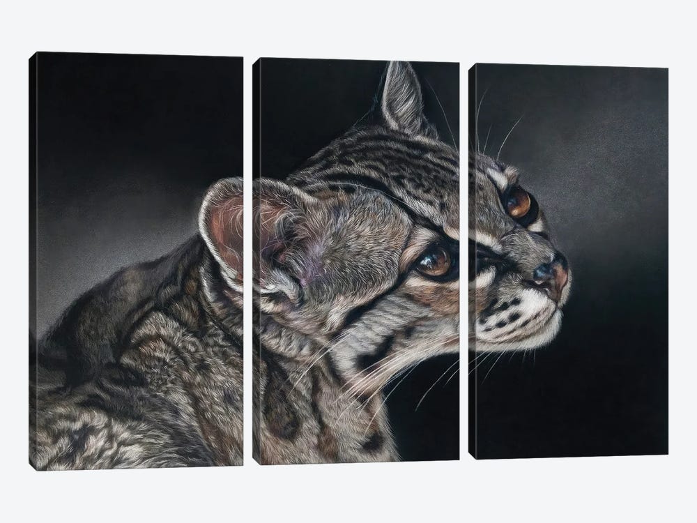 Ocelot Wild Cat by Tatjana Bril 3-piece Canvas Artwork