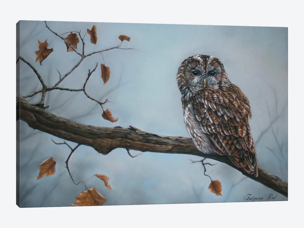 Owl In The Rain by Tatjana Bril 1-piece Art Print