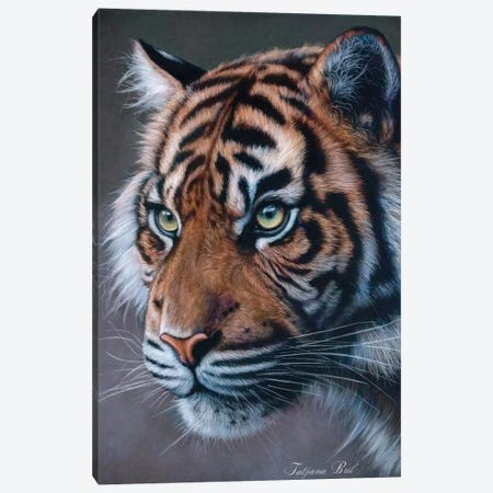 Hunting Tiger Canvas Print #TJB31} by Tatjana Bril Canvas Artwork