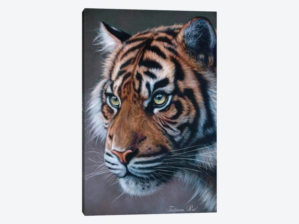 Hunting Tiger by Tatjana Bril 1-piece Canvas Artwork