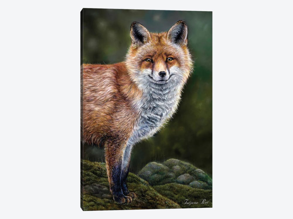 Fox In The Rain by Tatjana Bril 1-piece Canvas Print