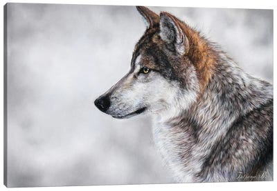 Wolf Canvas Art Print - Tatjana Bril