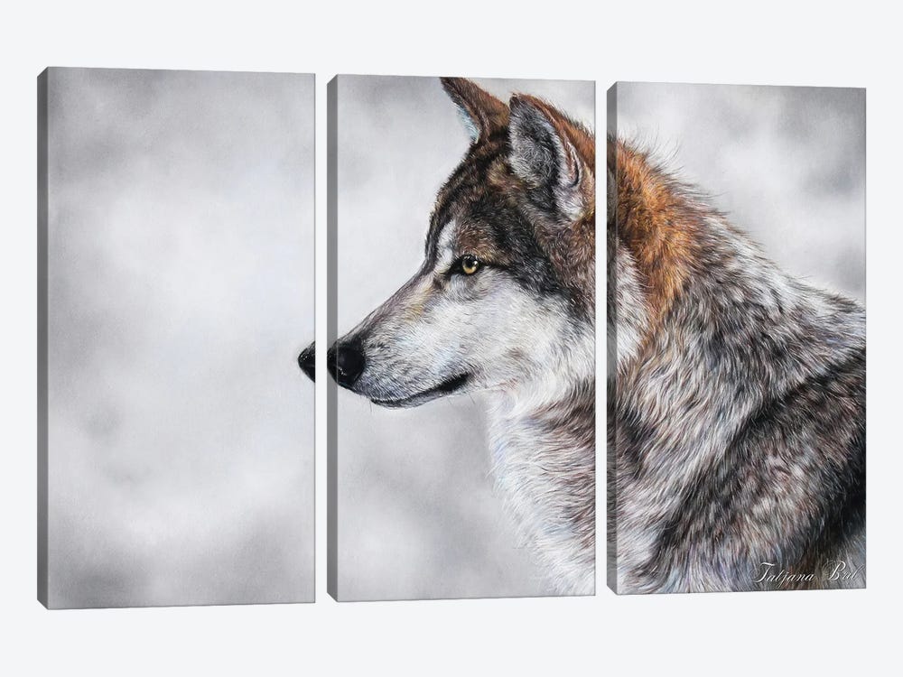Wolf by Tatjana Bril 3-piece Canvas Wall Art