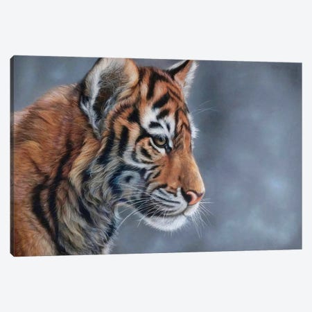 Tiger Cub Canvas Print #TJB34} by Tatjana Bril Canvas Art Print
