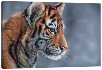 Tiger Cub Canvas Art Print - Tatjana Bril
