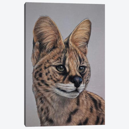 Serval Cat Canvas Print #TJB37} by Tatjana Bril Canvas Print