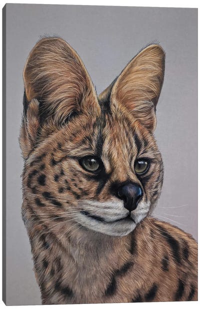 Serval Cat Canvas Art Print - Tatjana Bril