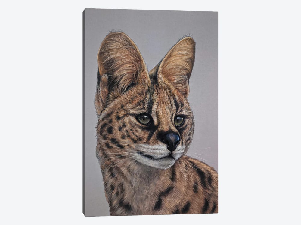 Serval Cat by Tatjana Bril 1-piece Canvas Wall Art