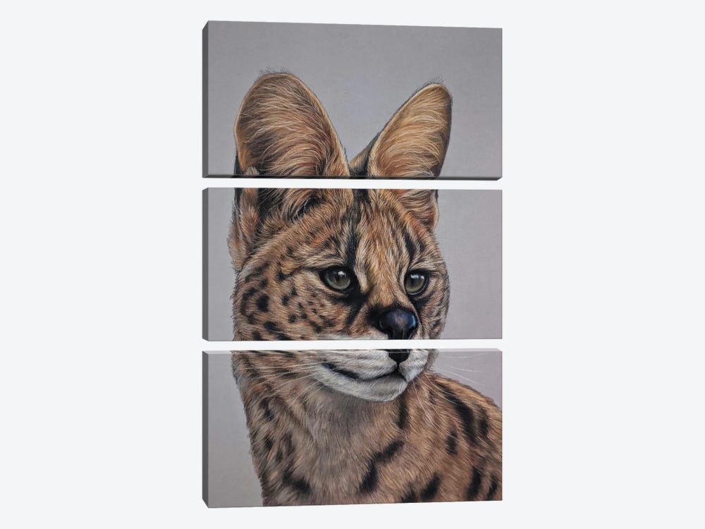 Serval Cat by Tatjana Bril 3-piece Canvas Artwork