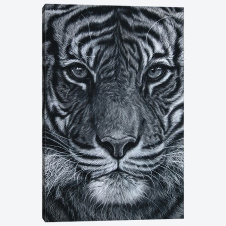 Black And White Tiger Canvas Print #TJB38} by Tatjana Bril Canvas Wall Art