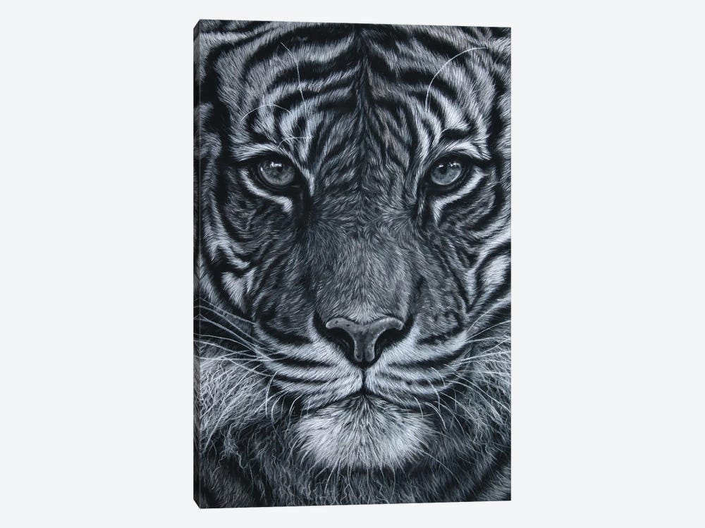 Black And White Tiger by Tatjana Bril 1-piece Art Print