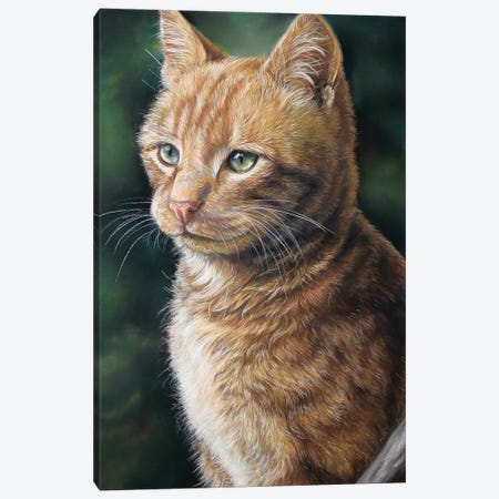Ginger Cat Canvas Print #TJB39} by Tatjana Bril Canvas Art