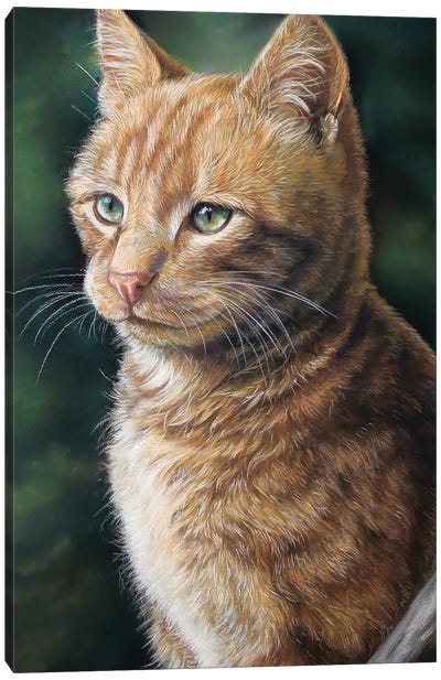 Ginger Cat Canvas Art Print - Orange Cat Art