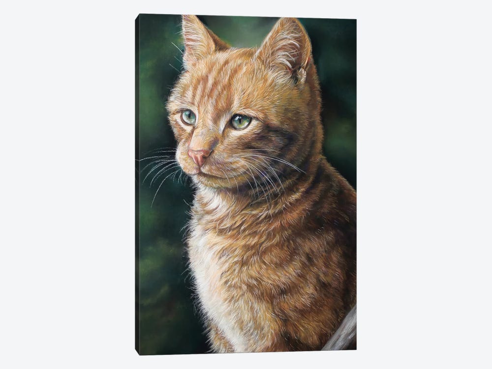 Ginger Cat by Tatjana Bril 1-piece Canvas Wall Art