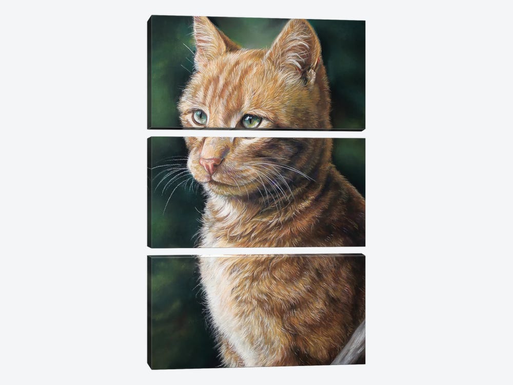 Ginger Cat by Tatjana Bril 3-piece Canvas Wall Art