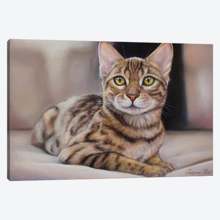 Bengal Cat Canvas Print #TJB3} by Tatjana Bril Canvas Print