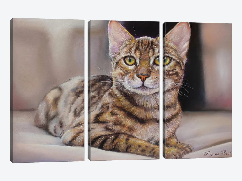 Bengal Cat by Tatjana Bril 3-piece Canvas Art