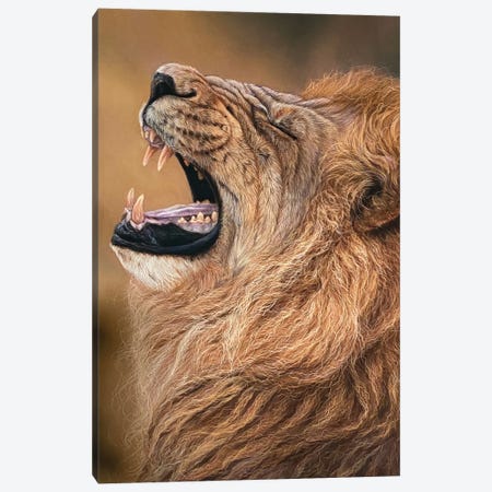 Lion Roar Canvas Print #TJB40} by Tatjana Bril Canvas Print