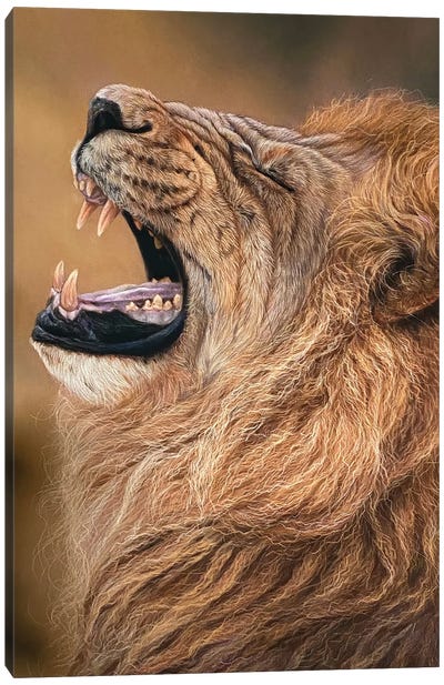 Lion Roar Canvas Art Print - Tatjana Bril