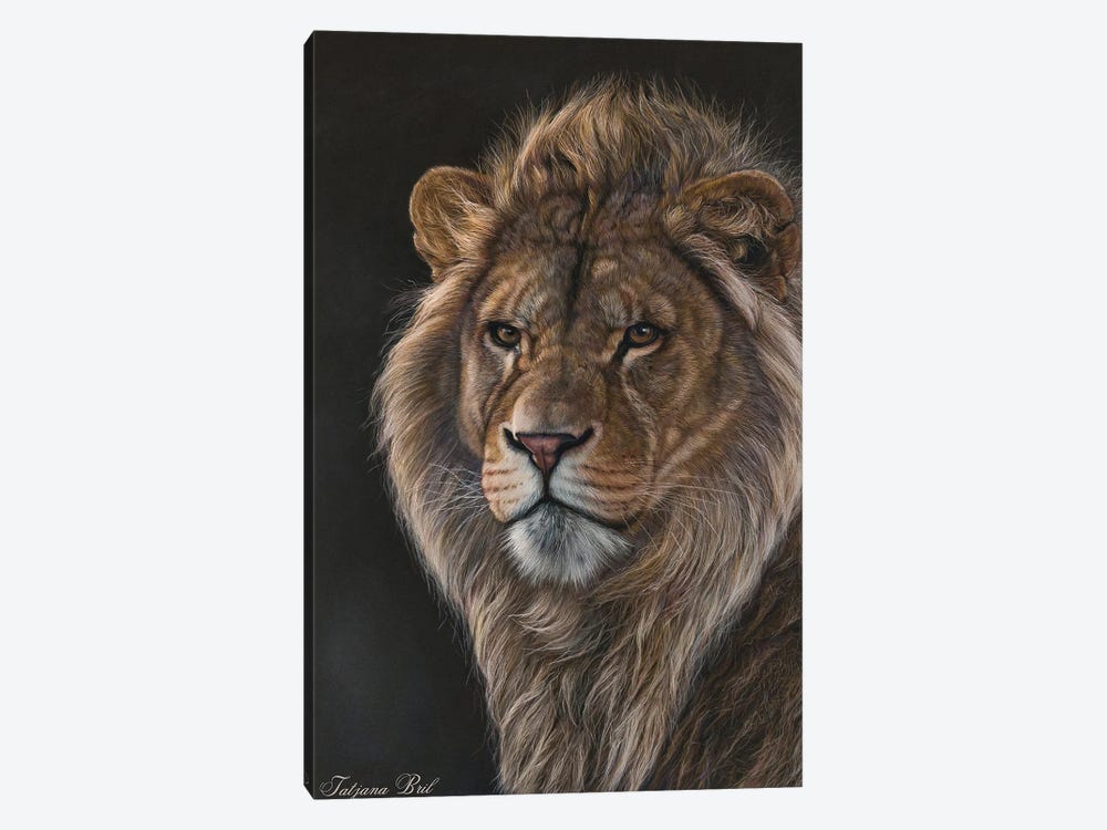 Young Male Lion by Tatjana Bril 1-piece Art Print
