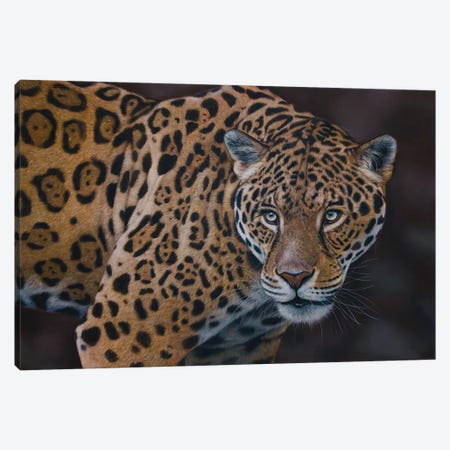 Leopard Canvas Print #TJB42} by Tatjana Bril Art Print