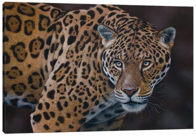 Leopard Canvas Art Print - Tatjana Bril