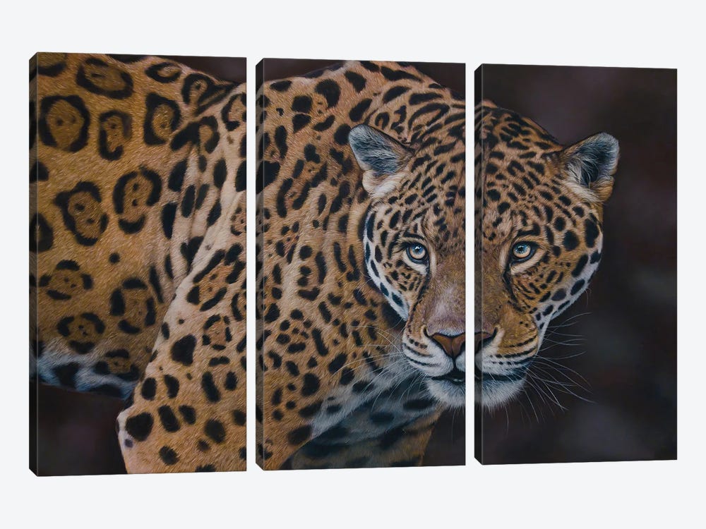 Leopard by Tatjana Bril 3-piece Canvas Wall Art