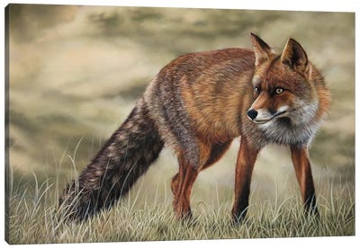 Fox Canvas Art Print - Tatjana Bril