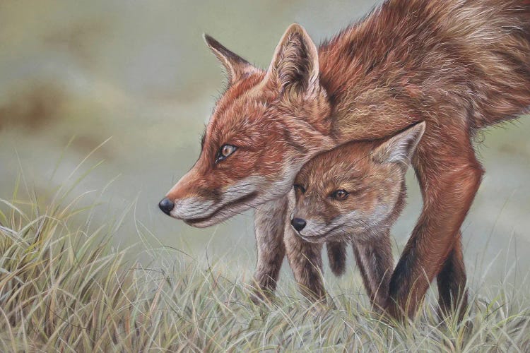 Mother Fox And Her Cub