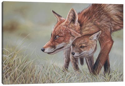 Mother Fox And Her Cub Canvas Art Print - Tatjana Bril