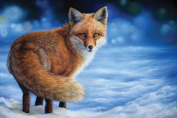 Snowy Fox