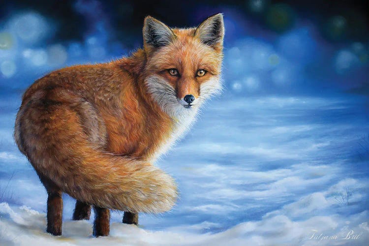 Snowy Fox by Tatjana Bril canvas print