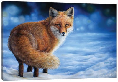 Snowy Fox Canvas Art Print - Tatjana Bril