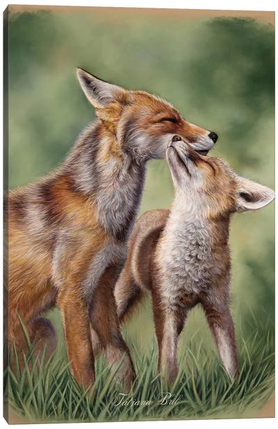 Fox Family Canvas Art Print - Emotive Animals