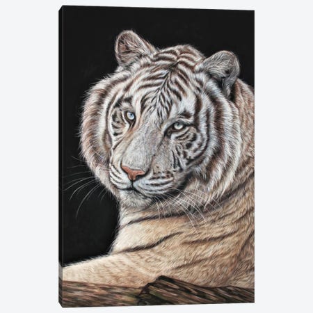 Tiger White Canvas Print #TJB9} by Tatjana Bril Canvas Art Print