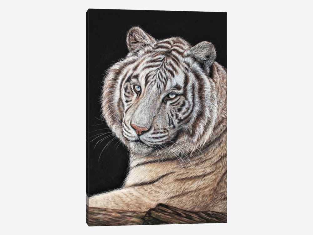 Tiger White by Tatjana Bril 1-piece Canvas Wall Art