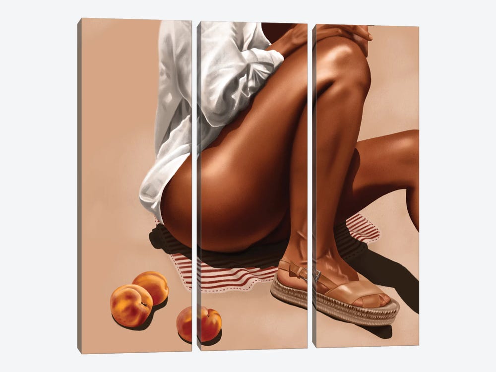 Peachy Summer by Teodora Jelenic 3-piece Canvas Print