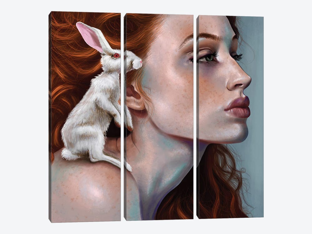 Rabbit Girl by Teodora Jelenic 3-piece Canvas Wall Art