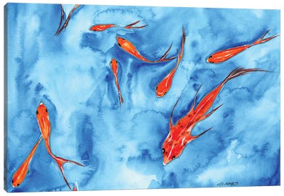Into The Blue Canvas Art Print - Koi Fish Art