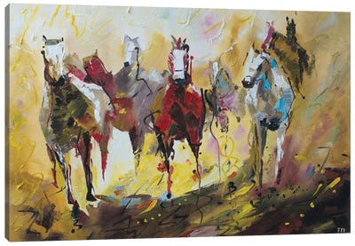 Horses Canvas Art Print - Tanija Petrus
