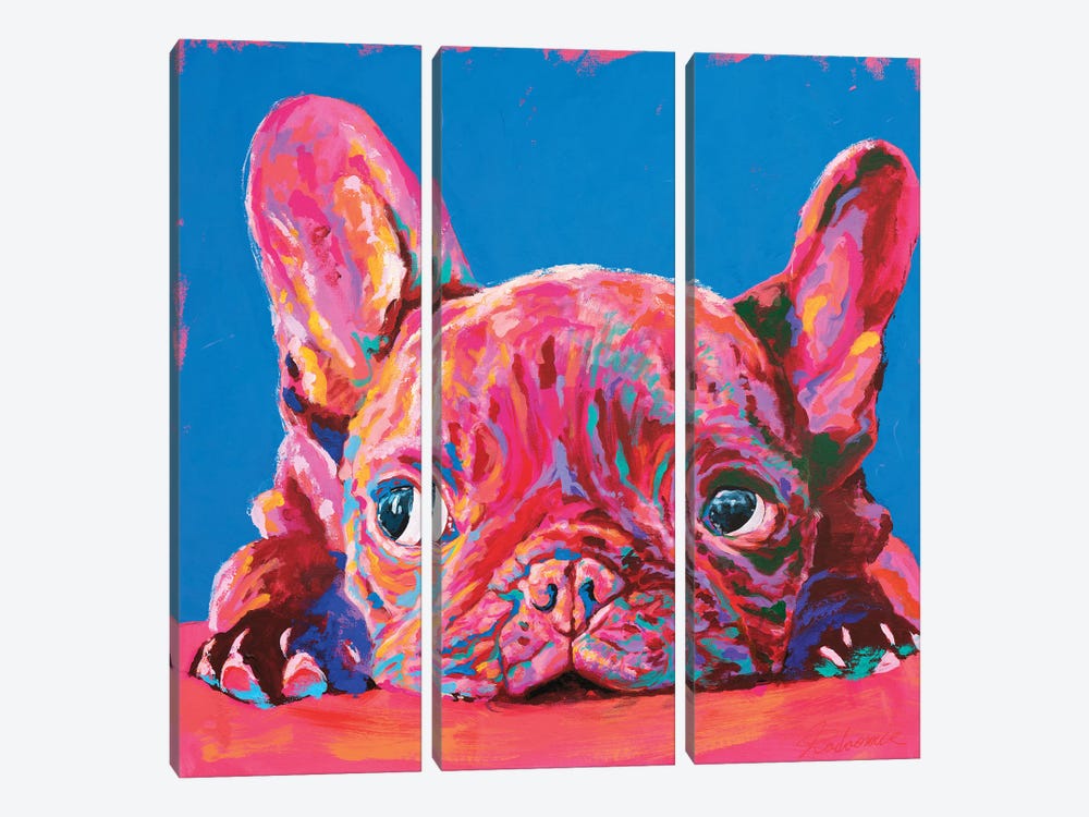 French Bulldog by Tadaomi Kawasaki 3-piece Canvas Art Print
