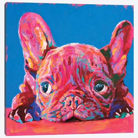 French Bulldog Canvas Print #TKA10} by Tadaomi Kawasaki Canvas Art