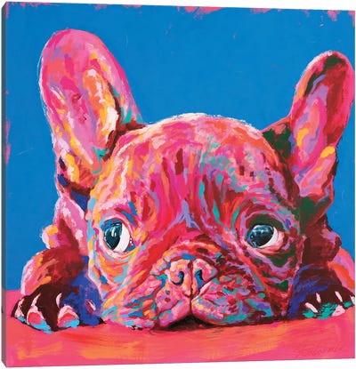 French Bulldog Canvas Art Print - Tadaomi Kawasaki