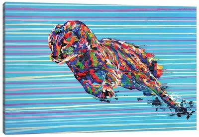 Cheetah - Speed Series - Canvas Art Print - Cheetah Art