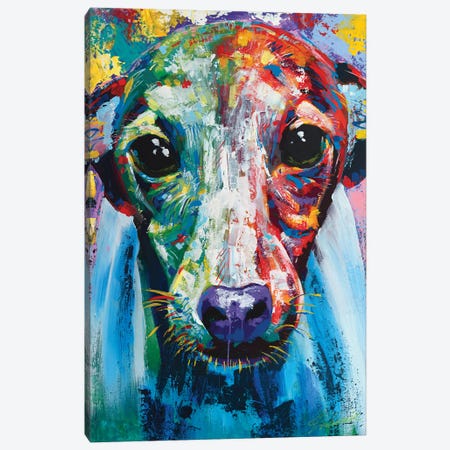 Italian Greyhound I Canvas Print #TKA14} by Tadaomi Kawasaki Canvas Art Print